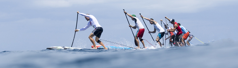 САП серфинг